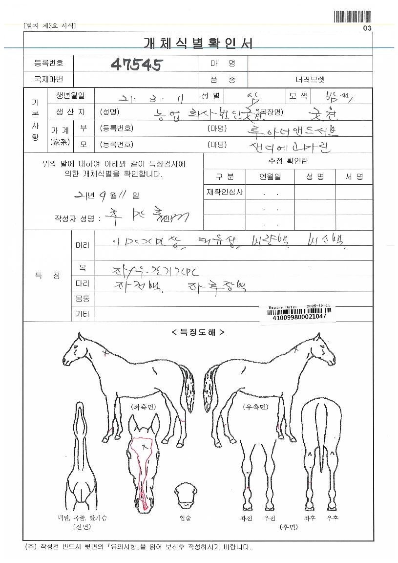 �ٸ��������� ����,���,�޸�,�λ�,�ٸ��� Ư¡����