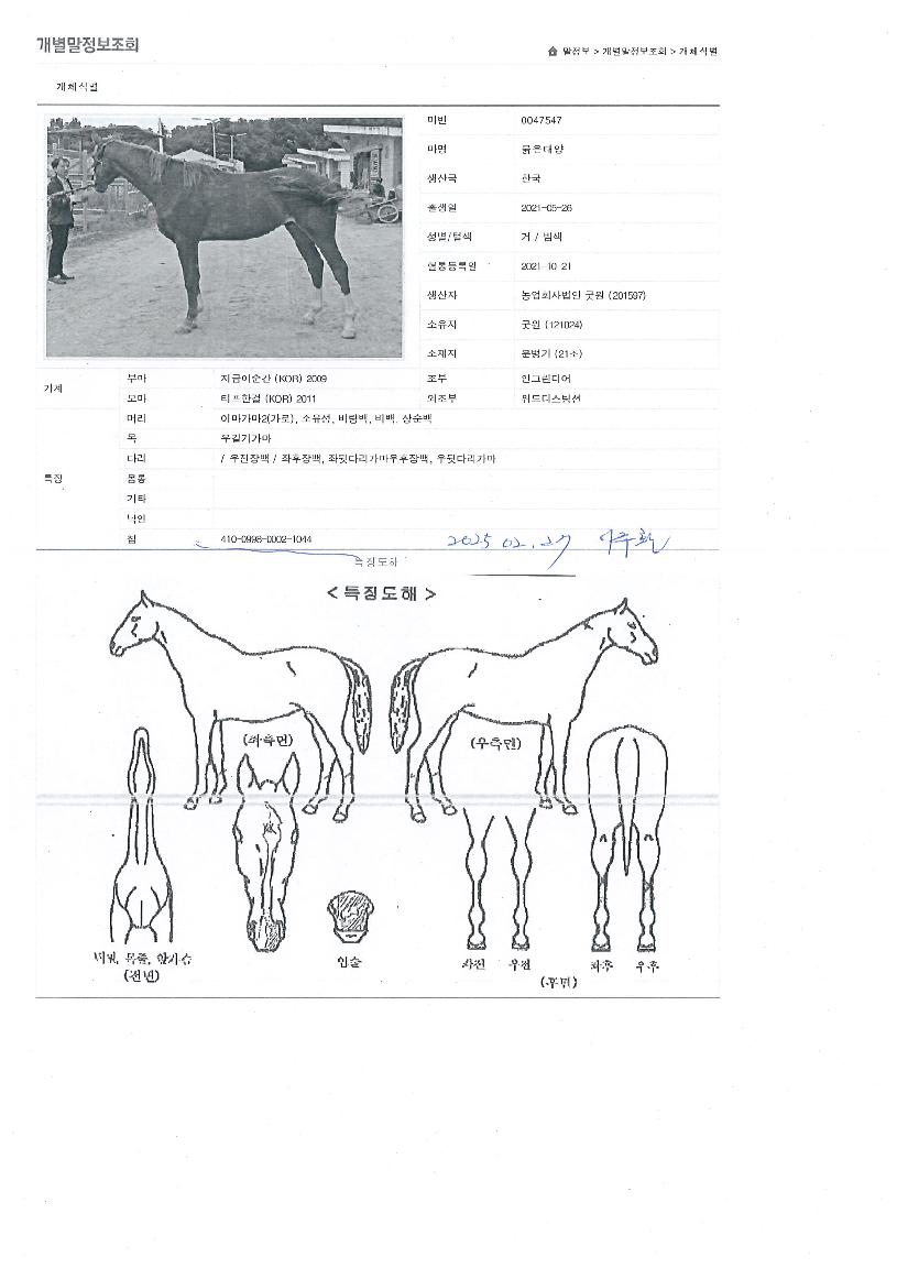 ºÓÀºÅ¾çÀÇ Ãø¸é,¿ì¸é,µÞ¸é,µÎ»ó,´Ù¸®ÀÇ Æ¯Â¡µµÇØ