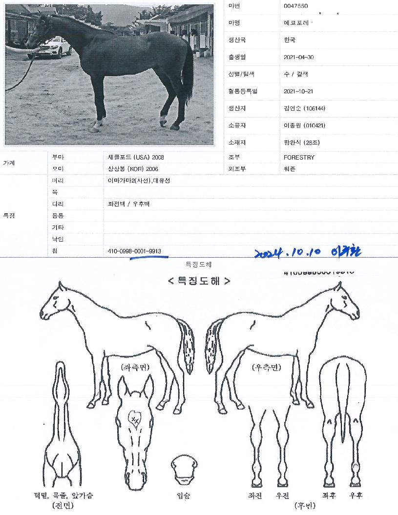 ���������� ����,���,�޸�,�λ�,�ٸ��� Ư¡����