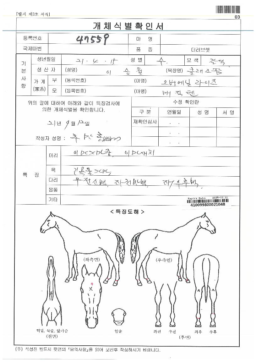 ¸ÅÁ÷À®½ºÀÇ Ãø¸é,¿ì¸é,µÞ¸é,µÎ»ó,´Ù¸®ÀÇ Æ¯Â¡µµÇØ