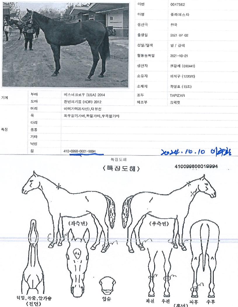 �ٶ��̽�Ÿ�� ����,���,�޸�,�λ�,�ٸ��� Ư¡����