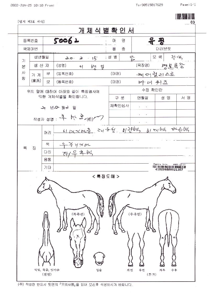 ������ ����,���,�޸�,�λ�,�ٸ��� Ư¡����