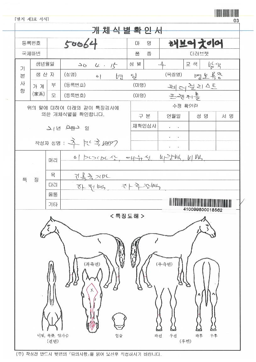 �غ����̾��� ����,���,�޸�,�λ�,�ٸ��� Ư¡����