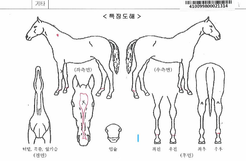 �ϴý¸��� ����,���,�޸�,�λ�,�ٸ��� Ư¡����