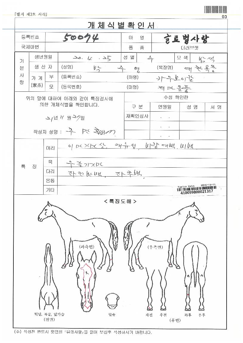 �۷ι������ ����,���,�޸�,�λ�,�ٸ��� Ư¡����