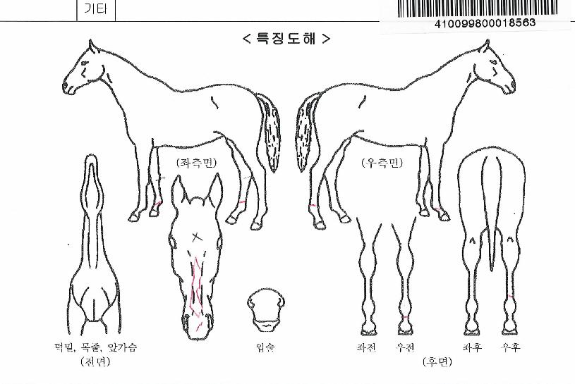 ±Ý¼ÕŬ·¡½ºÀÇ Ãø¸é,¿ì¸é,µÞ¸é,µÎ»ó,´Ù¸®ÀÇ Æ¯Â¡µµÇØ