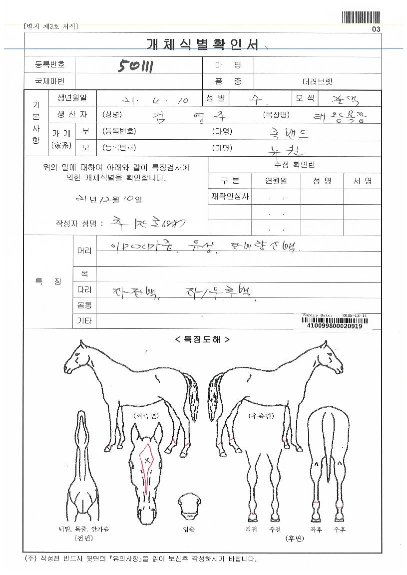 ´ºÄýÀÚ¸¶ÀÇ Ãø¸é,¿ì¸é,µÞ¸é,µÎ»ó,´Ù¸®ÀÇ Æ¯Â¡µµÇØ