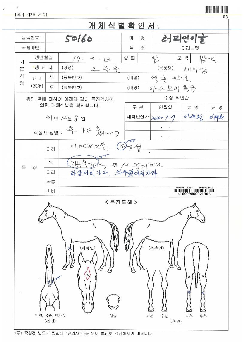 ���Ǿ��̱��� ����,���,�޸�,�λ�,�ٸ��� Ư¡����