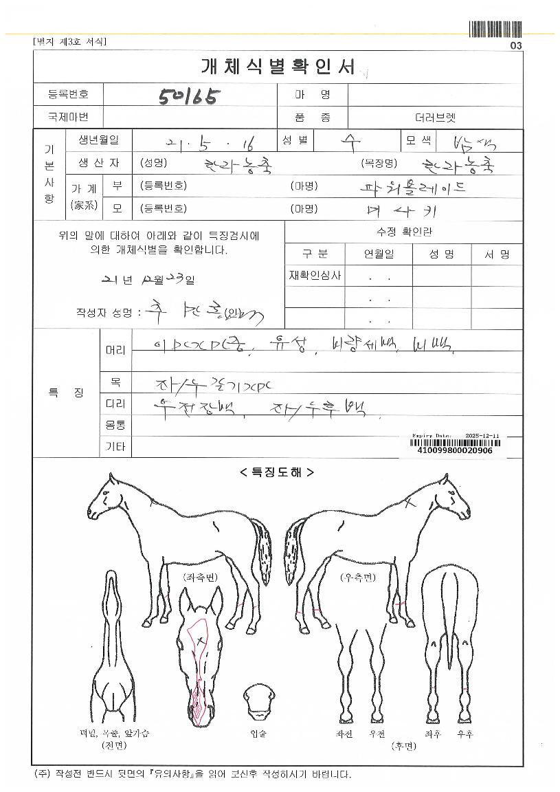 ���ֵ巡���� ����,���,�޸�,�λ�,�ٸ��� Ư¡����