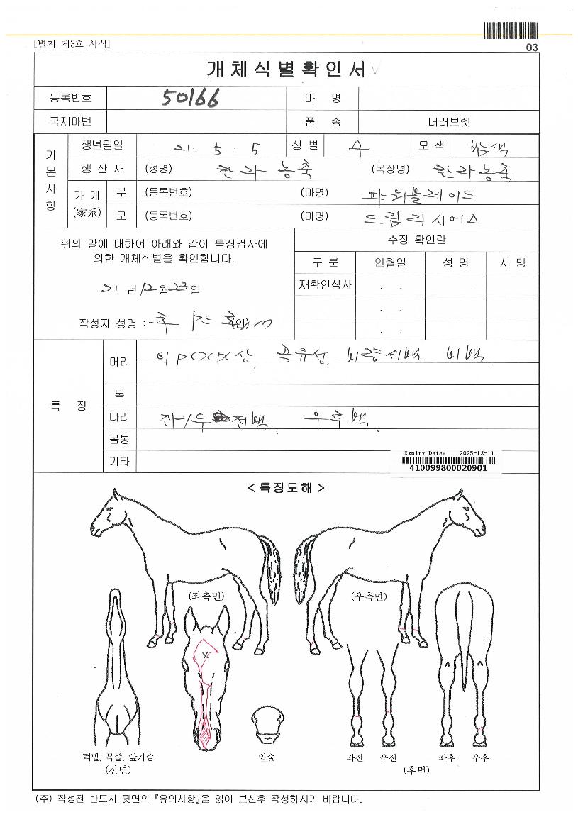 �巡�����̾��� ����,���,�޸�,�λ�,�ٸ��� Ư¡����