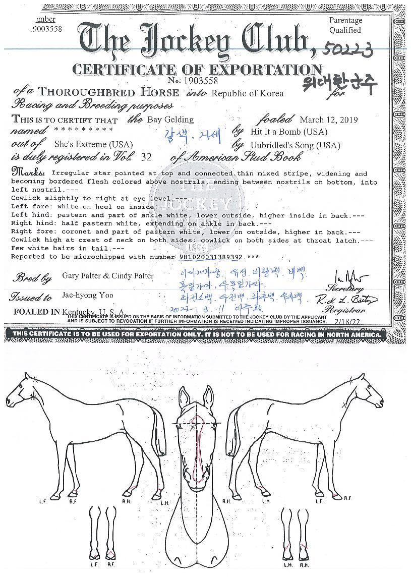 �����ѱ����� ����,���,�޸�,�λ�,�ٸ��� Ư¡����