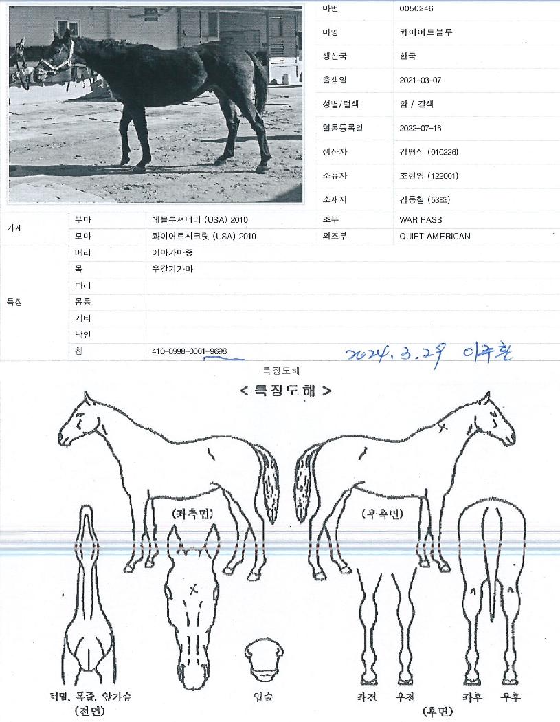 ���̾�Ʈ������ ����,���,�޸�,�λ�,�ٸ��� Ư¡����