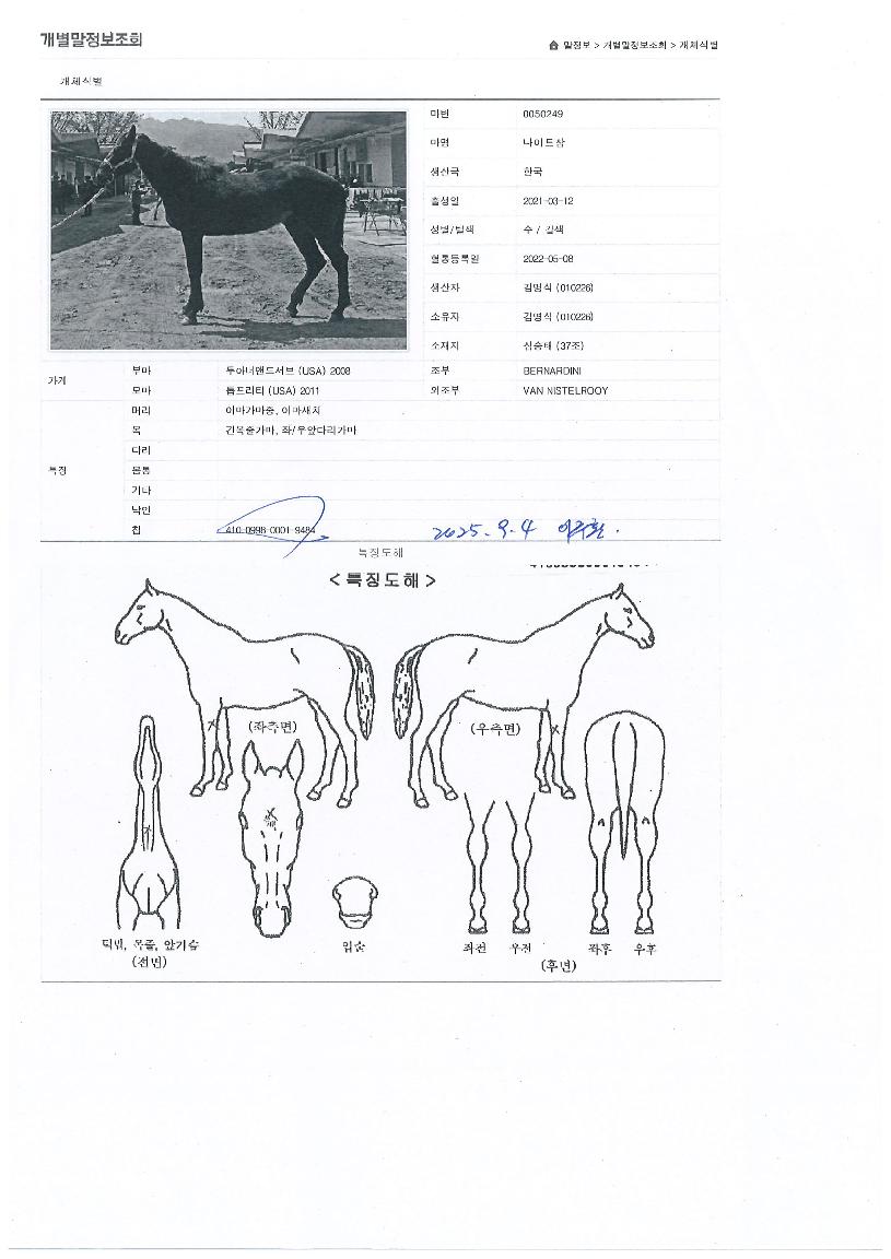 ³ªÀÌÆ®ÂüÀÇ Ãø¸é,¿ì¸é,µÞ¸é,µÎ»ó,´Ù¸®ÀÇ Æ¯Â¡µµÇØ