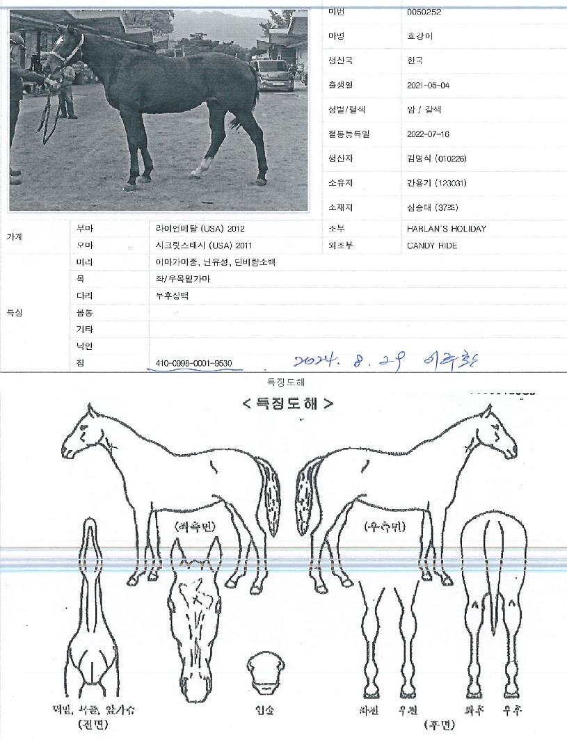 È¿°ÀÌÀÇ Ãø¸é,¿ì¸é,µÞ¸é,µÎ»ó,´Ù¸®ÀÇ Æ¯Â¡µµÇØ