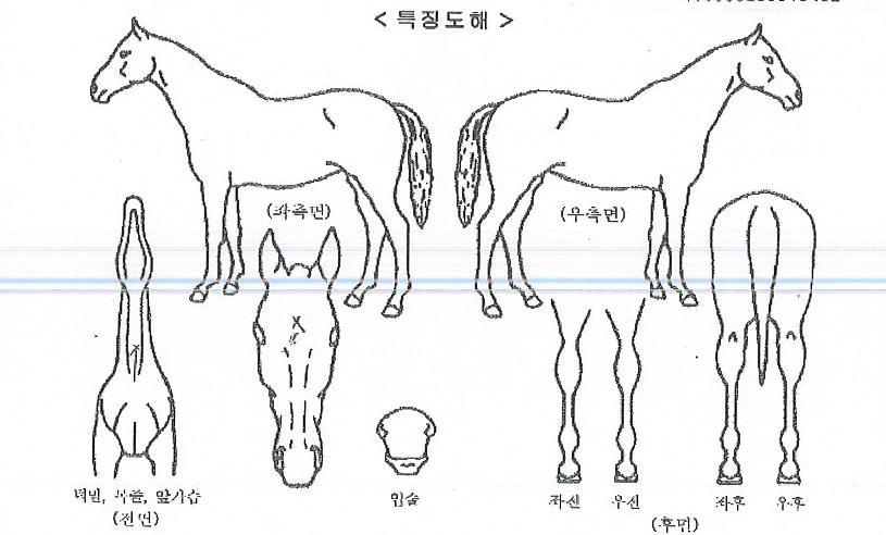 �������� ����,���,�޸�,�λ�,�ٸ��� Ư¡����