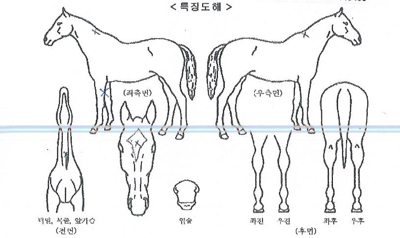 ������������ ����,���,�޸�,�λ�,�ٸ��� Ư¡����