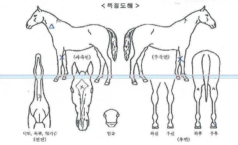 �ݼ����� ����,���,�޸�,�λ�,�ٸ��� Ư¡����