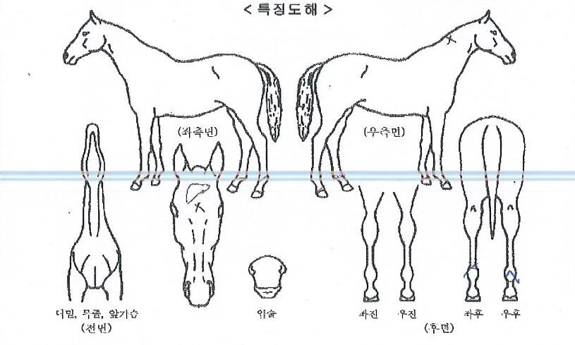 ��������Ÿ���� ����,���,�޸�,�λ�,�ٸ��� Ư¡����