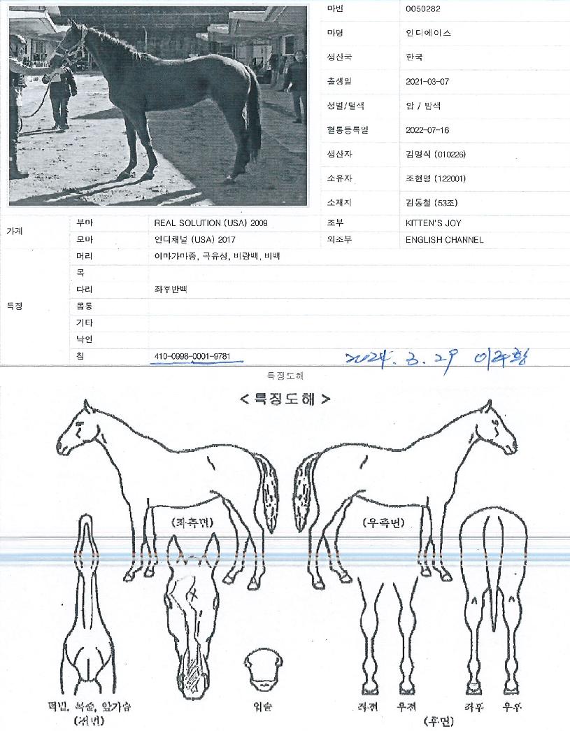 Àεð¿¡À̽ºÀÇ Ãø¸é,¿ì¸é,µÞ¸é,µÎ»ó,´Ù¸®ÀÇ Æ¯Â¡µµÇØ