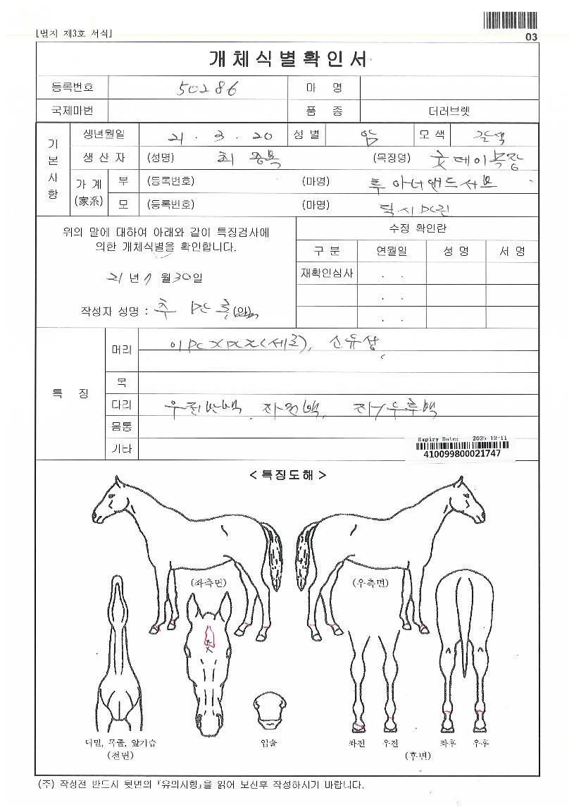 �ε����̷�Ŭ�� ����,���,�޸�,�λ�,�ٸ��� Ư¡����