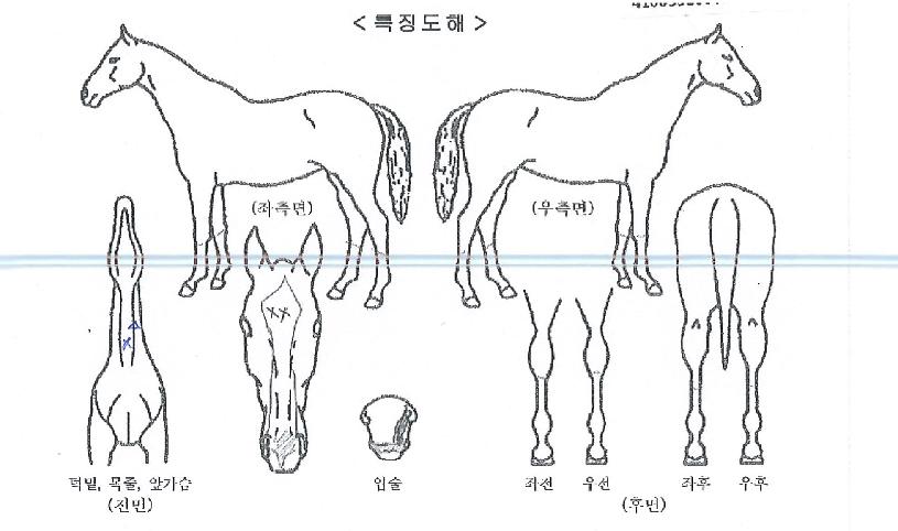 �ƽ���ũ�� ����,���,�޸�,�λ�,�ٸ��� Ư¡����