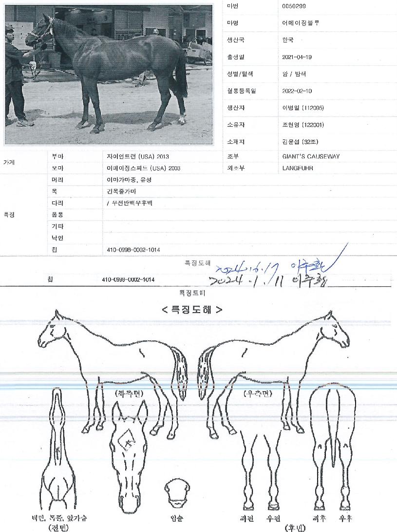 �����¡������ ����,���,�޸�,�λ�,�ٸ��� Ư¡����