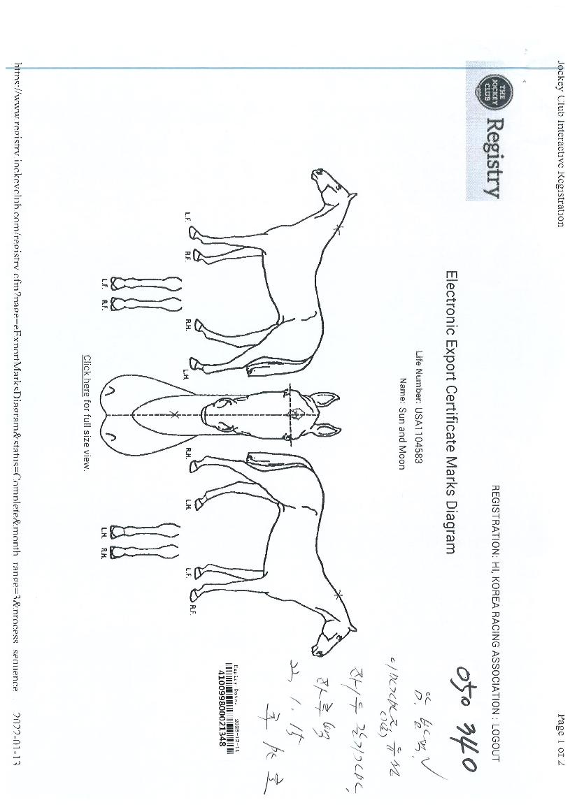 ¼±¾Øµå¹®ÀÇ Ãø¸é,¿ì¸é,µÞ¸é,µÎ»ó,´Ù¸®ÀÇ Æ¯Â¡µµÇØ