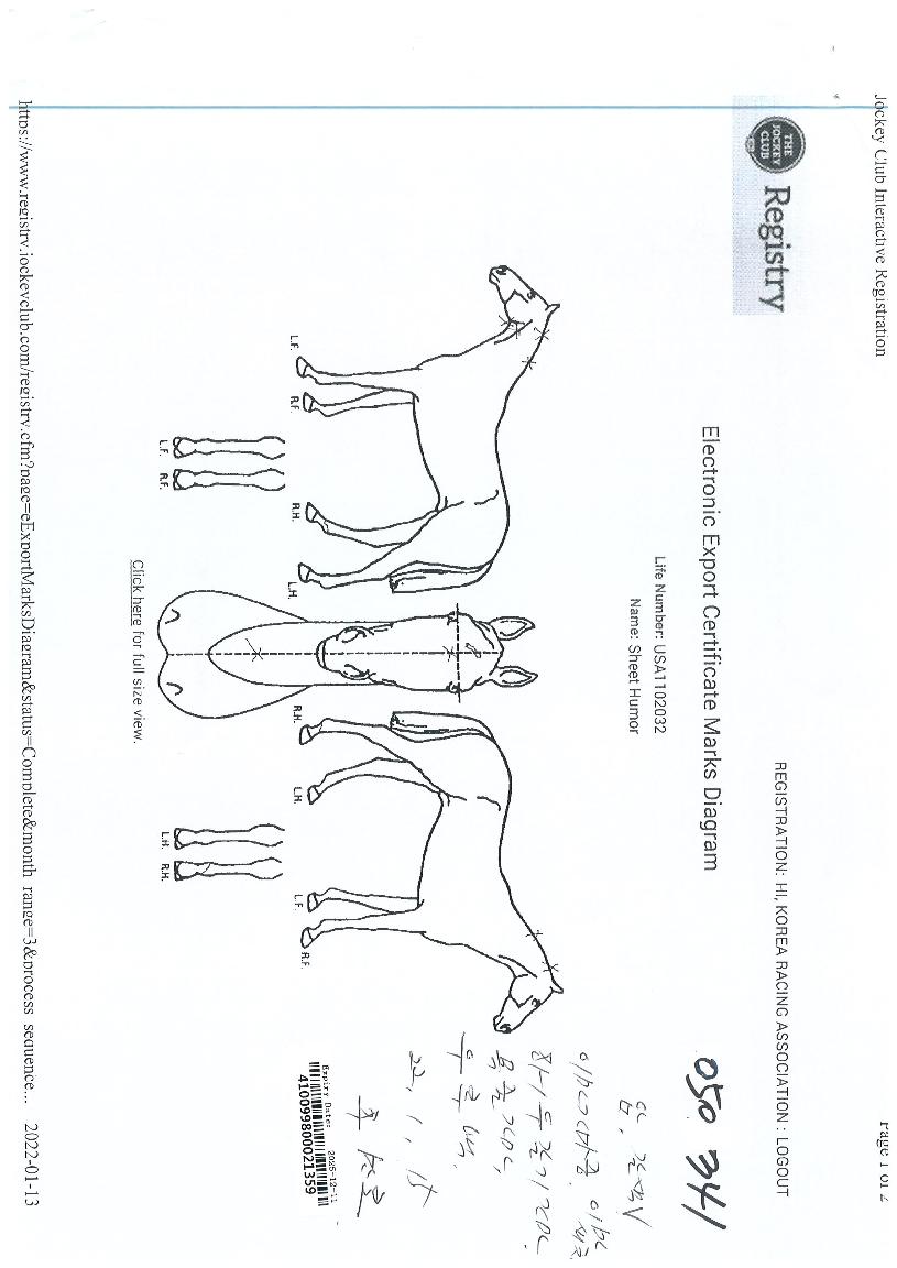 ½ÃÆ®ÈÞ¸ÓÀÇ Ãø¸é,¿ì¸é,µÞ¸é,µÎ»ó,´Ù¸®ÀÇ Æ¯Â¡µµÇØ