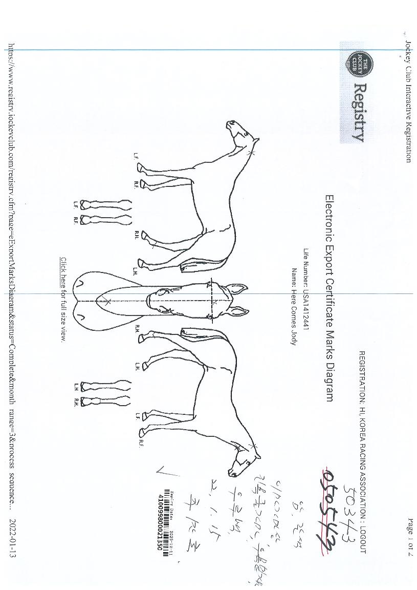 È÷¾îÄĽºÁ¶µðÀÇ Ãø¸é,¿ì¸é,µÞ¸é,µÎ»ó,´Ù¸®ÀÇ Æ¯Â¡µµÇØ