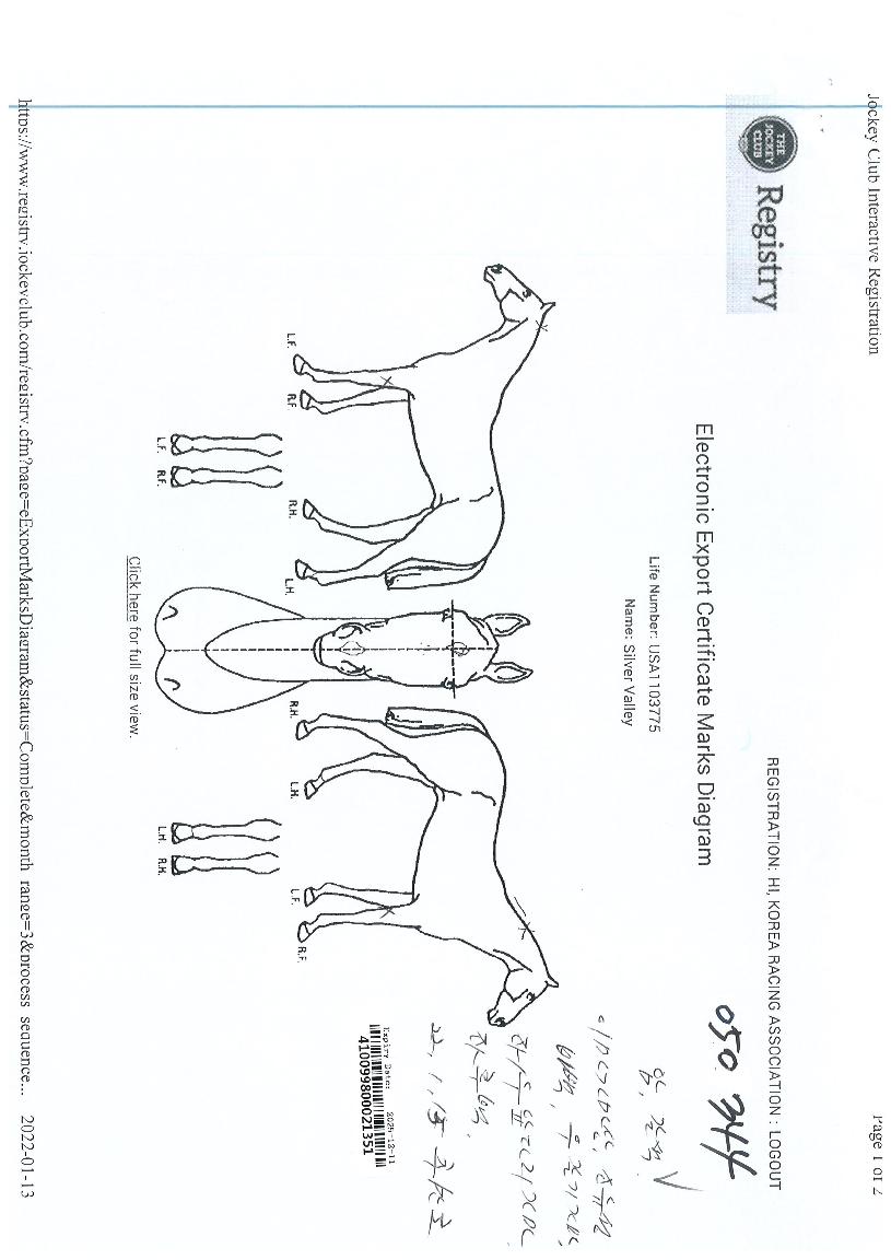 ½Ç¹ö¹ë¸®ÀÇ Ãø¸é,¿ì¸é,µÞ¸é,µÎ»ó,´Ù¸®ÀÇ Æ¯Â¡µµÇØ