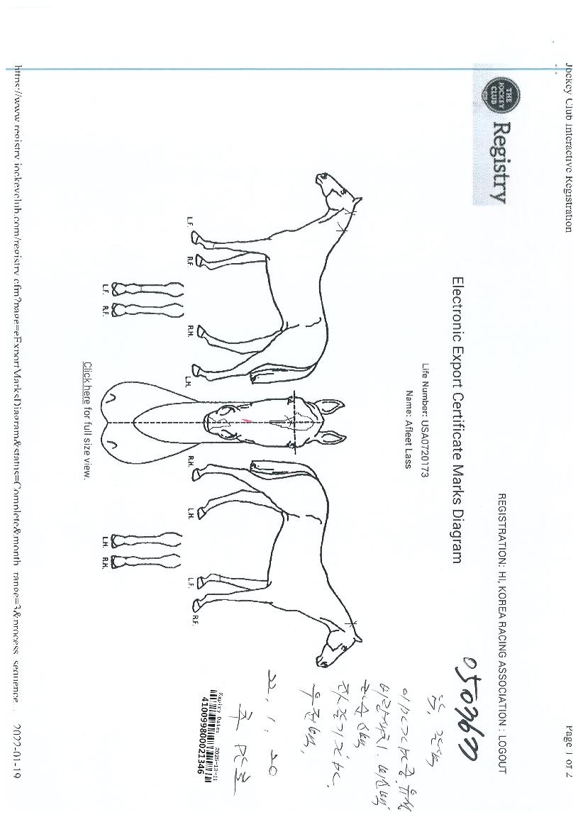 ���ø�Ʈ������ ����,���,�޸�,�λ�,�ٸ��� Ư¡����