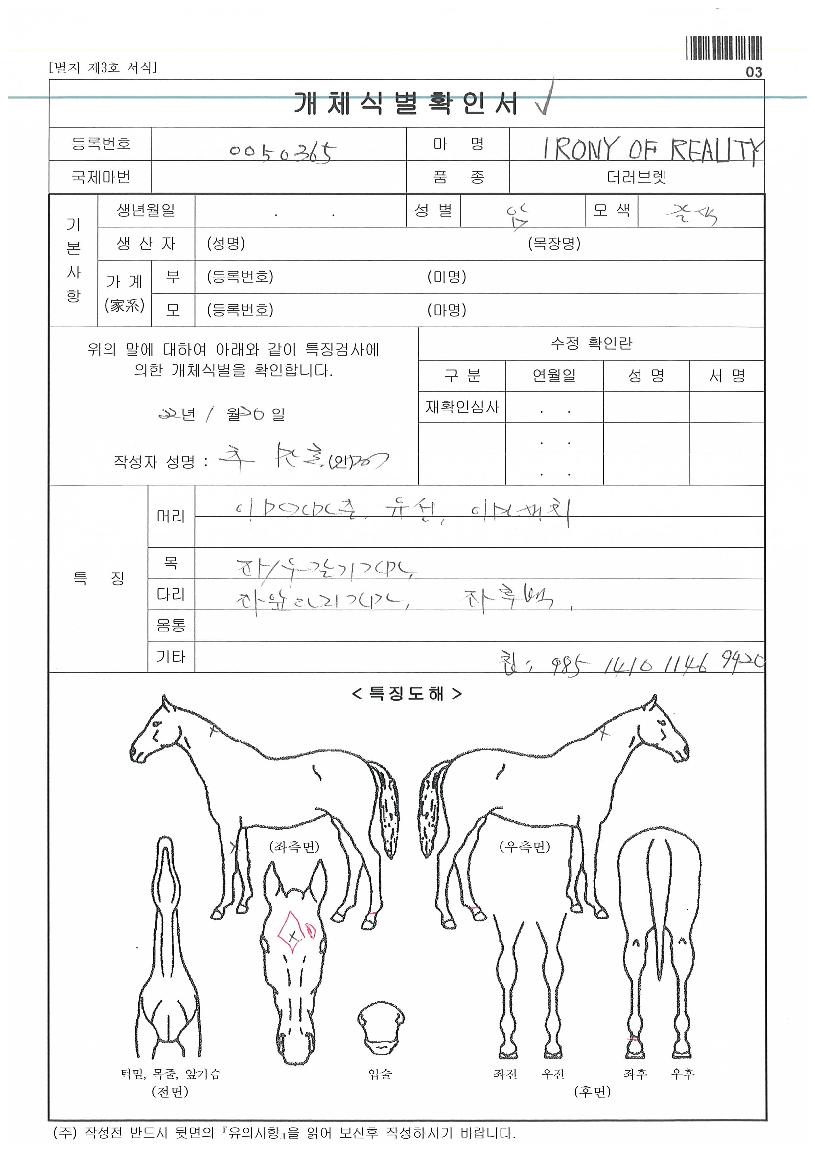 ���̷��Ͽ��긮���� ����,���,�޸�,�λ�,�ٸ��� Ư¡����