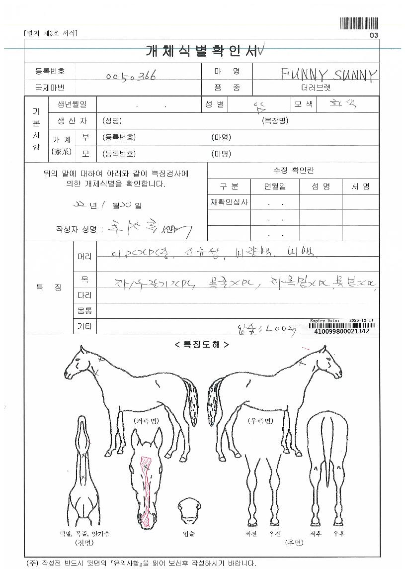 �۴ϼ����� ����,���,�޸�,�λ�,�ٸ��� Ư¡����