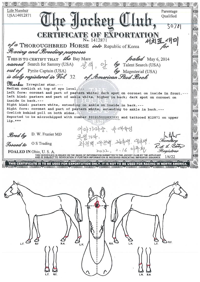 ��ġ�������� ����,���,�޸�,�λ�,�ٸ��� Ư¡����