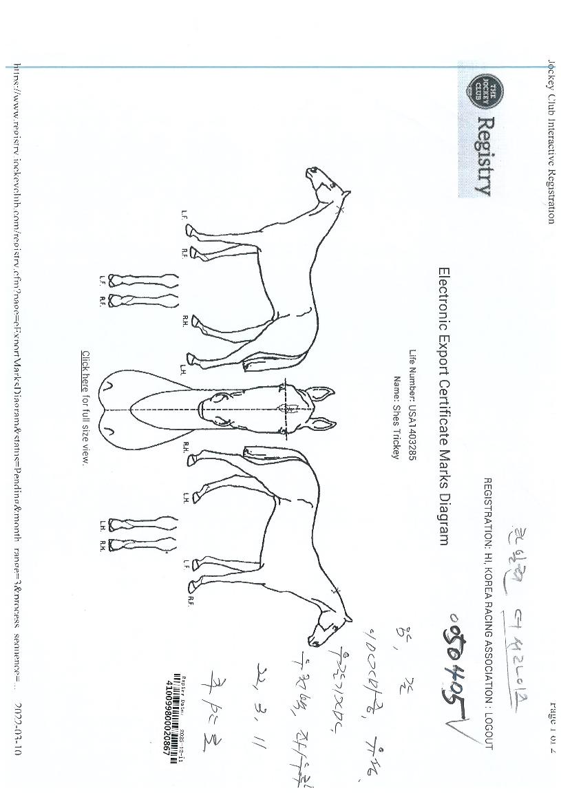 ����Ʈ��Ű�� ����,���,�޸�,�λ�,�ٸ��� Ư¡����