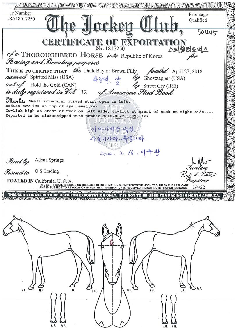 ���Ǹ�Ƽ��̽��� ����,���,�޸�,�λ�,�ٸ��� Ư¡����