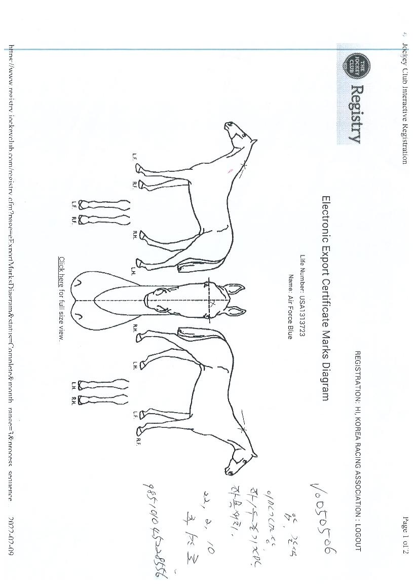 ¿¡¾îÆ÷½ººí·çÀÇ Ãø¸é,¿ì¸é,µÞ¸é,µÎ»ó,´Ù¸®ÀÇ Æ¯Â¡µµÇØ