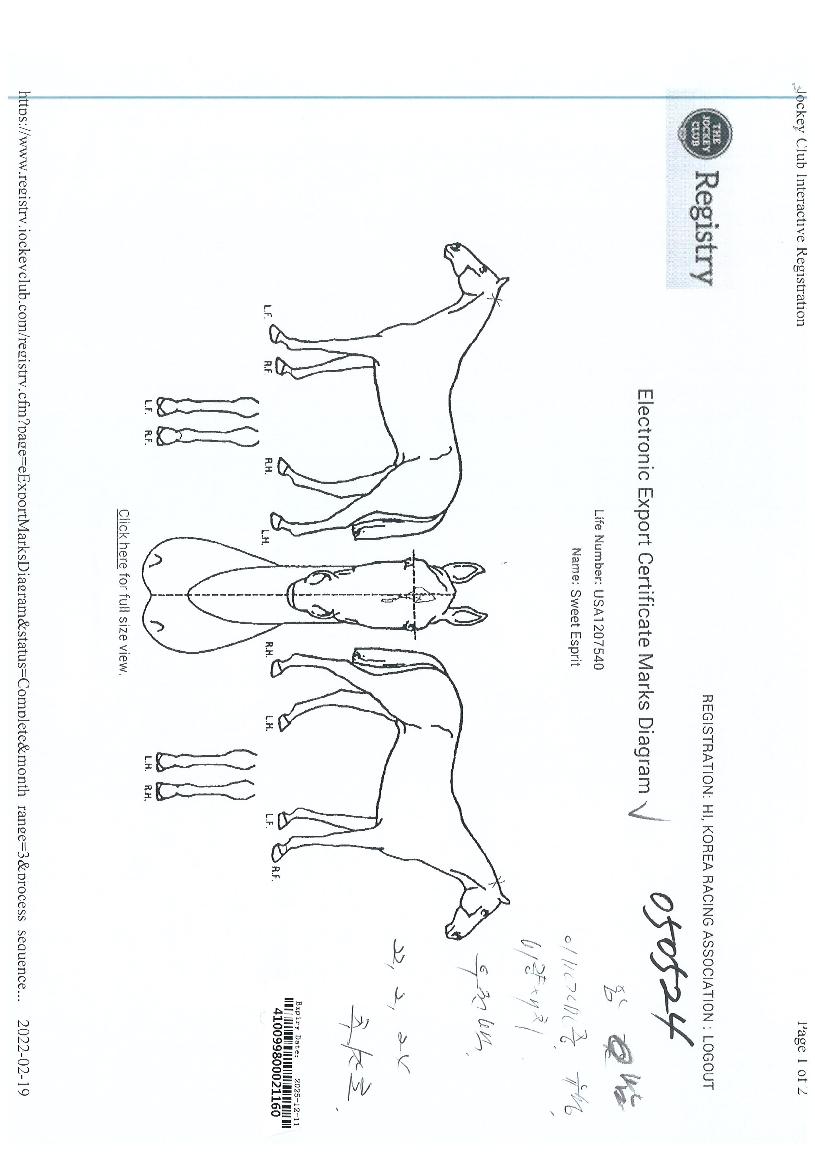 ½ºÀ§Æ®¿¡½ºÇÁ¸®ÀÇ Ãø¸é,¿ì¸é,µÞ¸é,µÎ»ó,´Ù¸®ÀÇ Æ¯Â¡µµÇØ