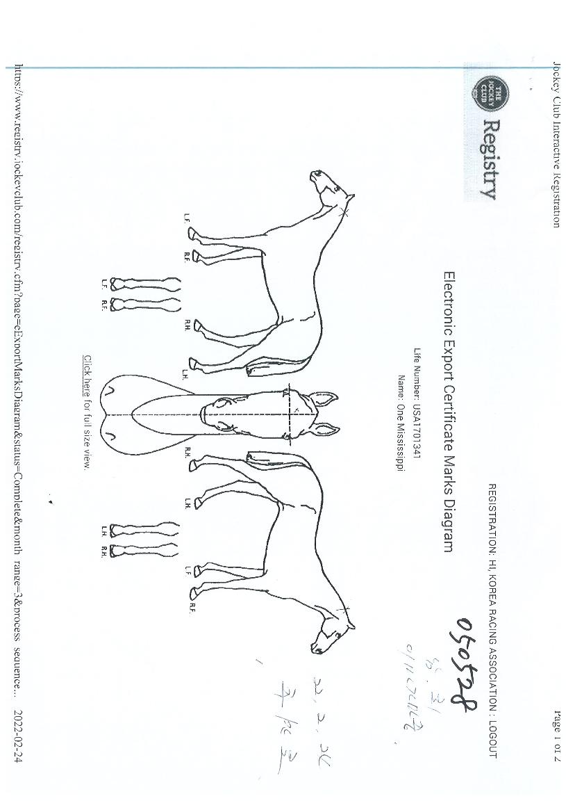 ¿ø¹Ì½Ã½ÃÇÇÀÇ Ãø¸é,¿ì¸é,µÞ¸é,µÎ»ó,´Ù¸®ÀÇ Æ¯Â¡µµÇØ