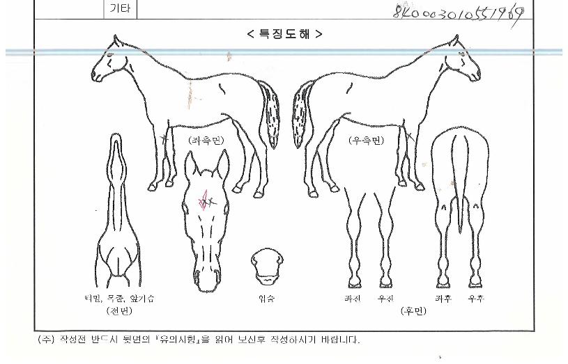 ÄÁÇ÷¹ÀÌÆ®ÀÇ Ãø¸é,¿ì¸é,µÞ¸é,µÎ»ó,´Ù¸®ÀÇ Æ¯Â¡µµÇØ