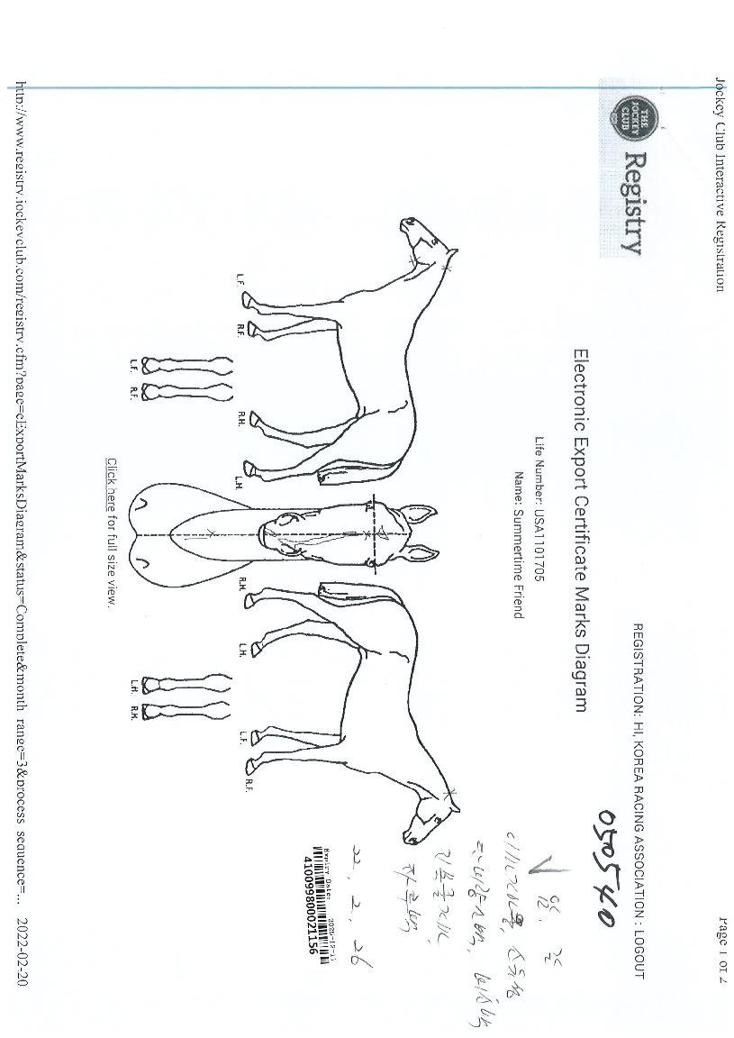 ¼¸ÓŸÀÓÇÁ·»µåÀÇ Ãø¸é,¿ì¸é,µÞ¸é,µÎ»ó,´Ù¸®ÀÇ Æ¯Â¡µµÇØ