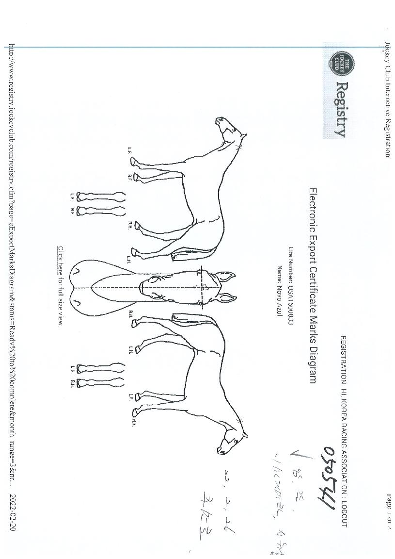 �뺸������ ����,���,�޸�,�λ�,�ٸ��� Ư¡����