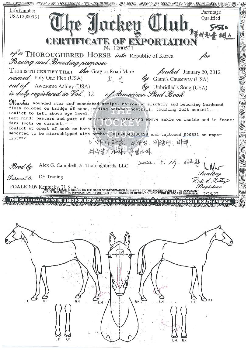 �������÷����� ����,���,�޸�,�λ�,�ٸ��� Ư¡����