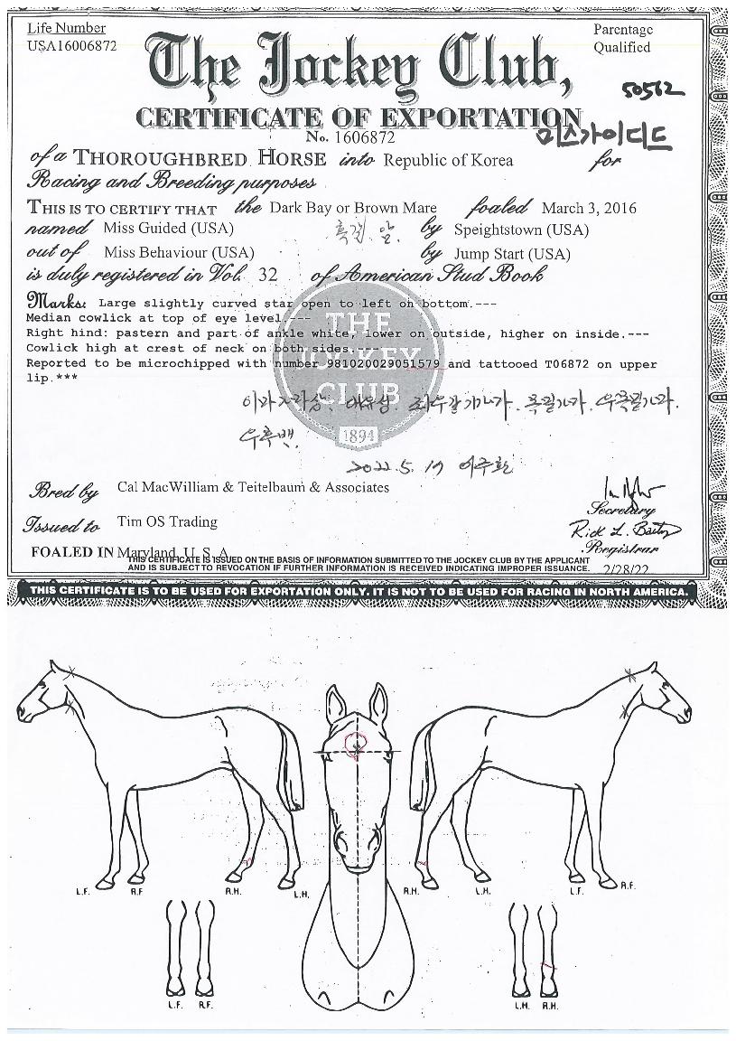 �̽����̵���� ����,���,�޸�,�λ�,�ٸ��� Ư¡����