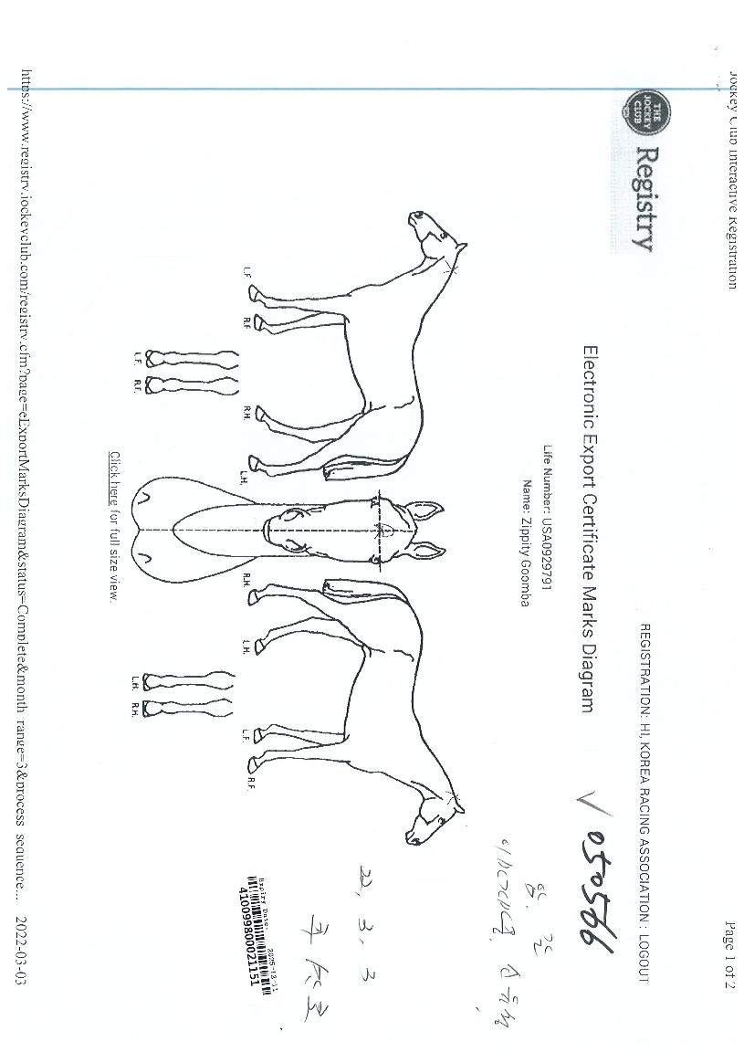 ÁöÇÇÆ¼±À¹ÙÀÇ Ãø¸é,¿ì¸é,µÞ¸é,µÎ»ó,´Ù¸®ÀÇ Æ¯Â¡µµÇØ