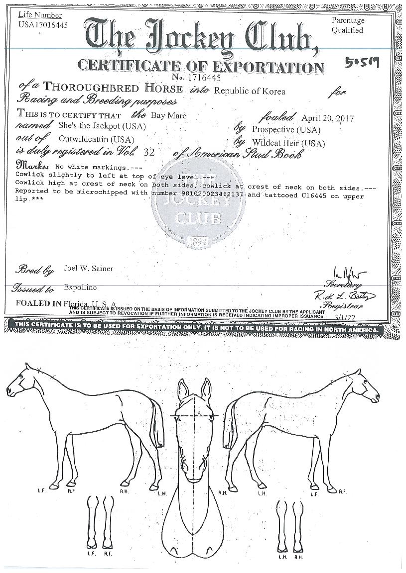 ����������� ����,���,�޸�,�λ�,�ٸ��� Ư¡����