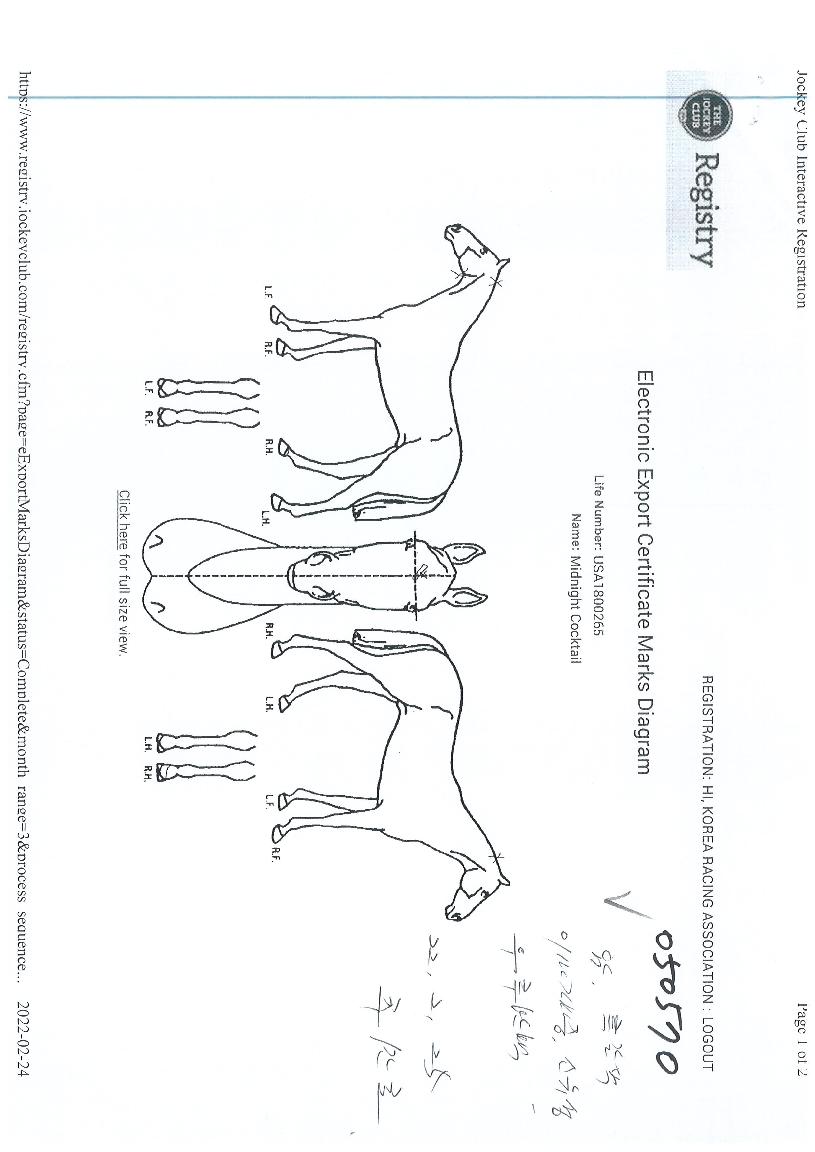 �̵峪��ƮĬ������ ����,���,�޸�,�λ�,�ٸ��� Ư¡����