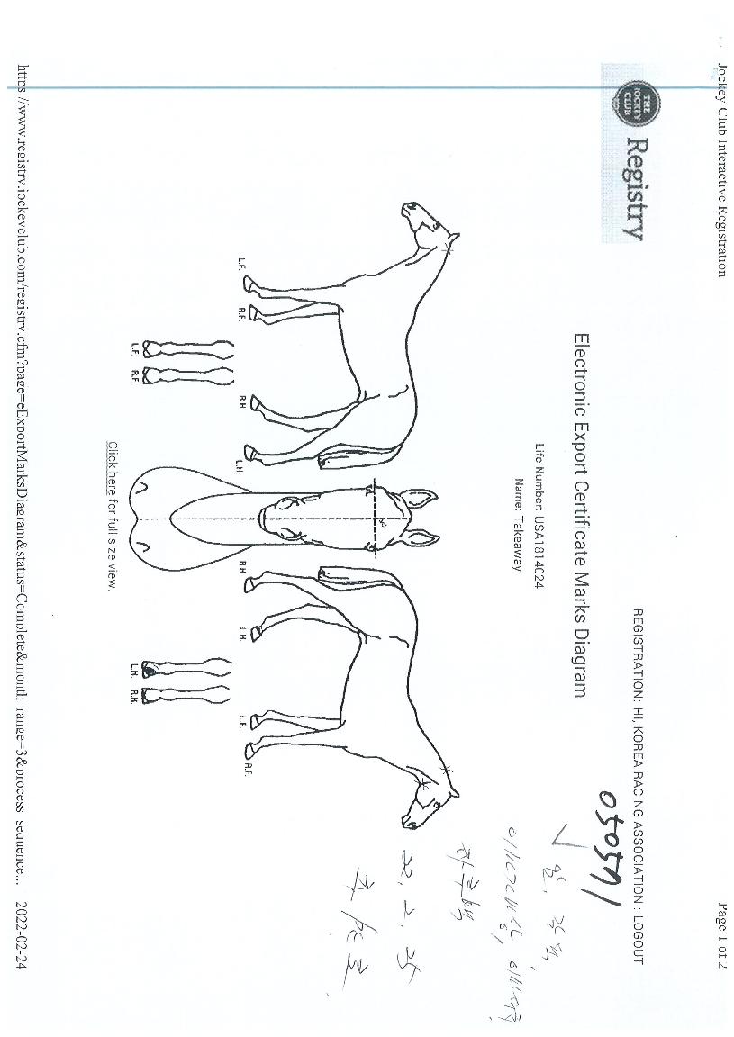 Å×ÀÌÅ©¾î¿þÀÌÀÇ Ãø¸é,¿ì¸é,µÞ¸é,µÎ»ó,´Ù¸®ÀÇ Æ¯Â¡µµÇØ