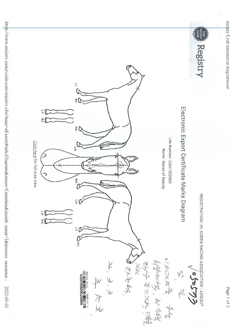 ¼¾½º¿ÀºêºäƼÀÇ Ãø¸é,¿ì¸é,µÞ¸é,µÎ»ó,´Ù¸®ÀÇ Æ¯Â¡µµÇØ