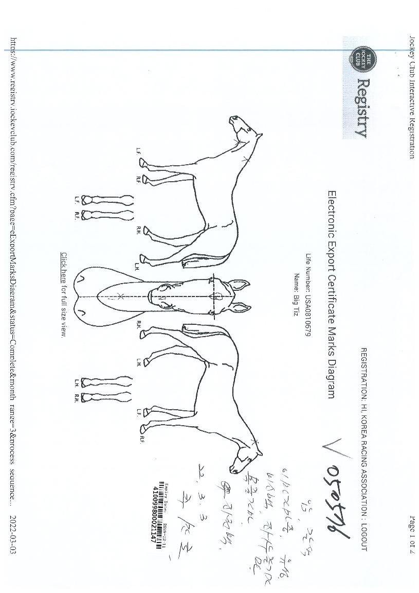 ��Ƽ���� ����,���,�޸�,�λ�,�ٸ��� Ư¡����